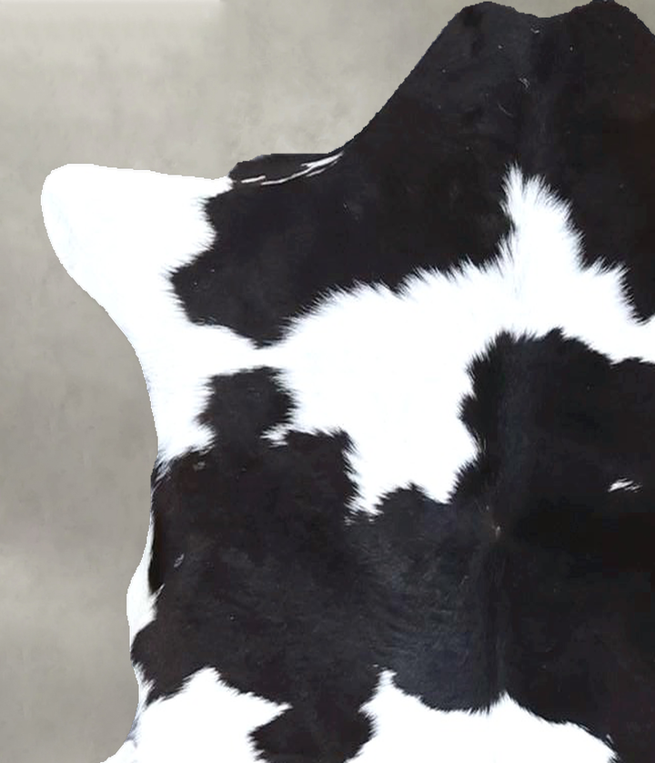 Calfhide Approx 2'x3' #B22295 by Hudson Hides