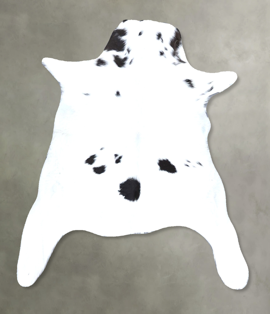 Calfhide Approx 2'x3' #B22298 by Hudson Hides