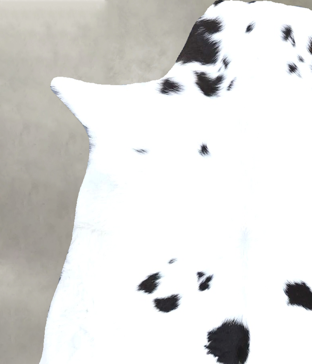 Calfhide Approx 2'x3' #B22298 by Hudson Hides