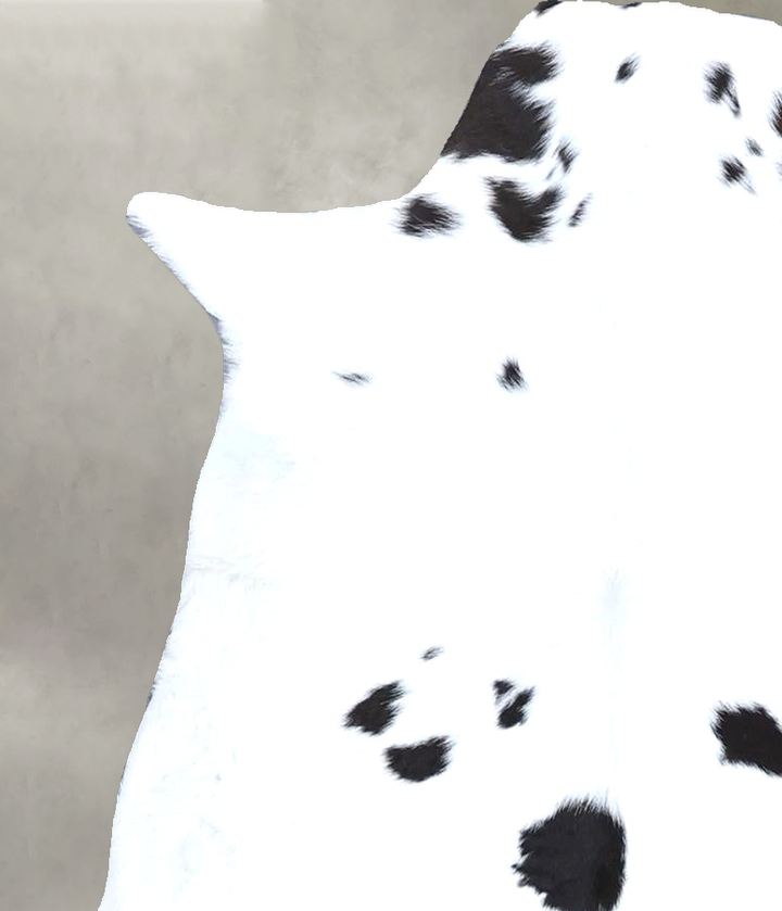 Calfhide Approx 2'x3' #B22298 by Hudson Hides