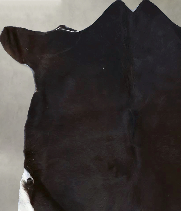 Calfhide Approx 2'x3' #B22299 by Hudson Hides