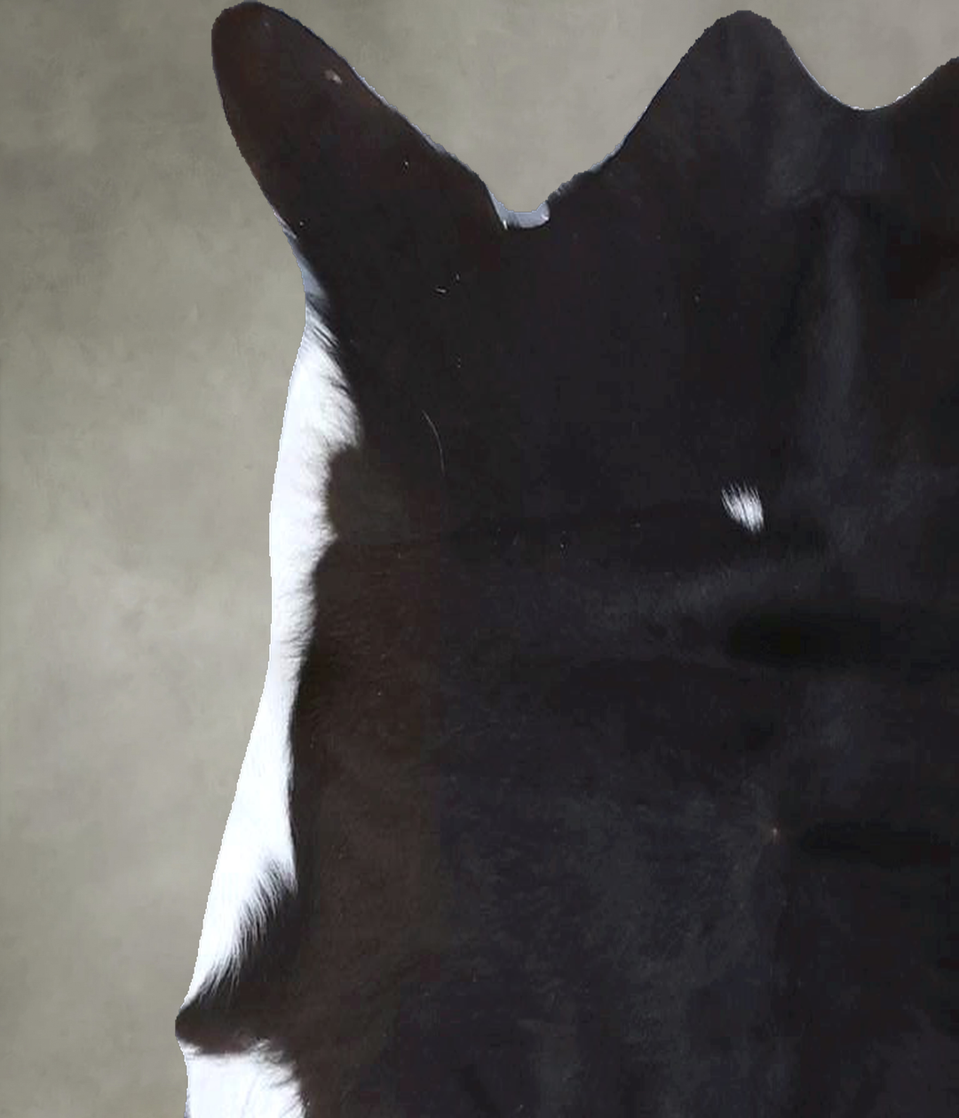 Calfhide Approx 2'x3' #B22300 by Hudson Hides