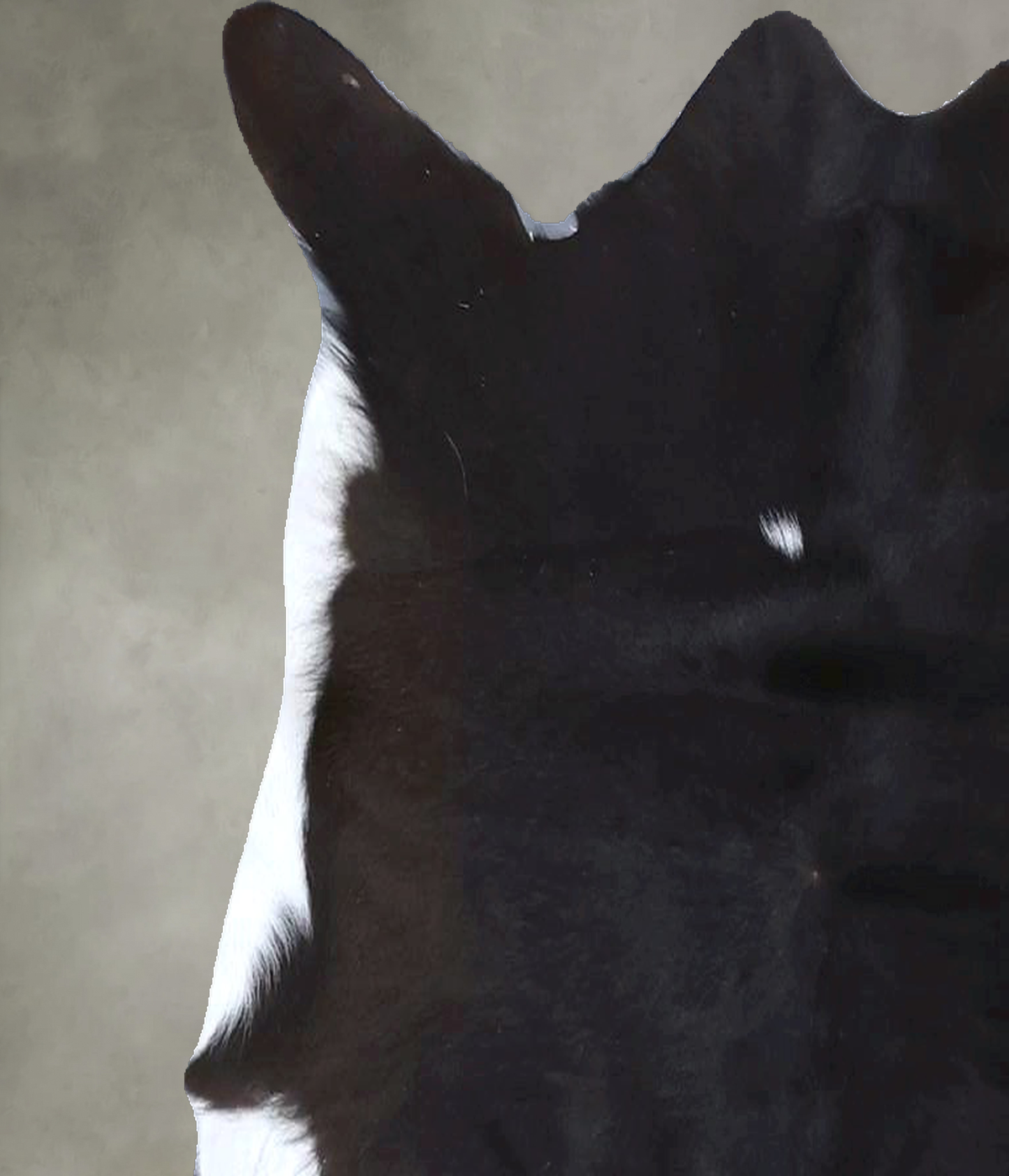 Calfhide Approx 2'x3' #B22300 by Hudson Hides
