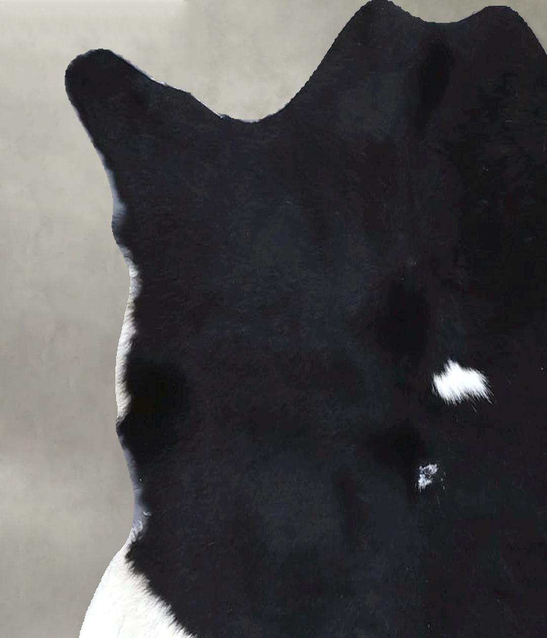 Calfhide Approx 2'x3' #B22302 by Hudson Hides