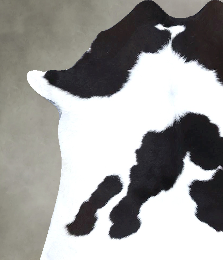 Calfhide Approx 2'x3' #B22305 by Hudson Hides