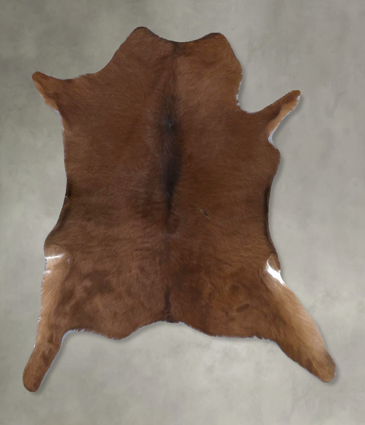 Calfhide Approx 2'x3' #B22306 by Hudson Hides