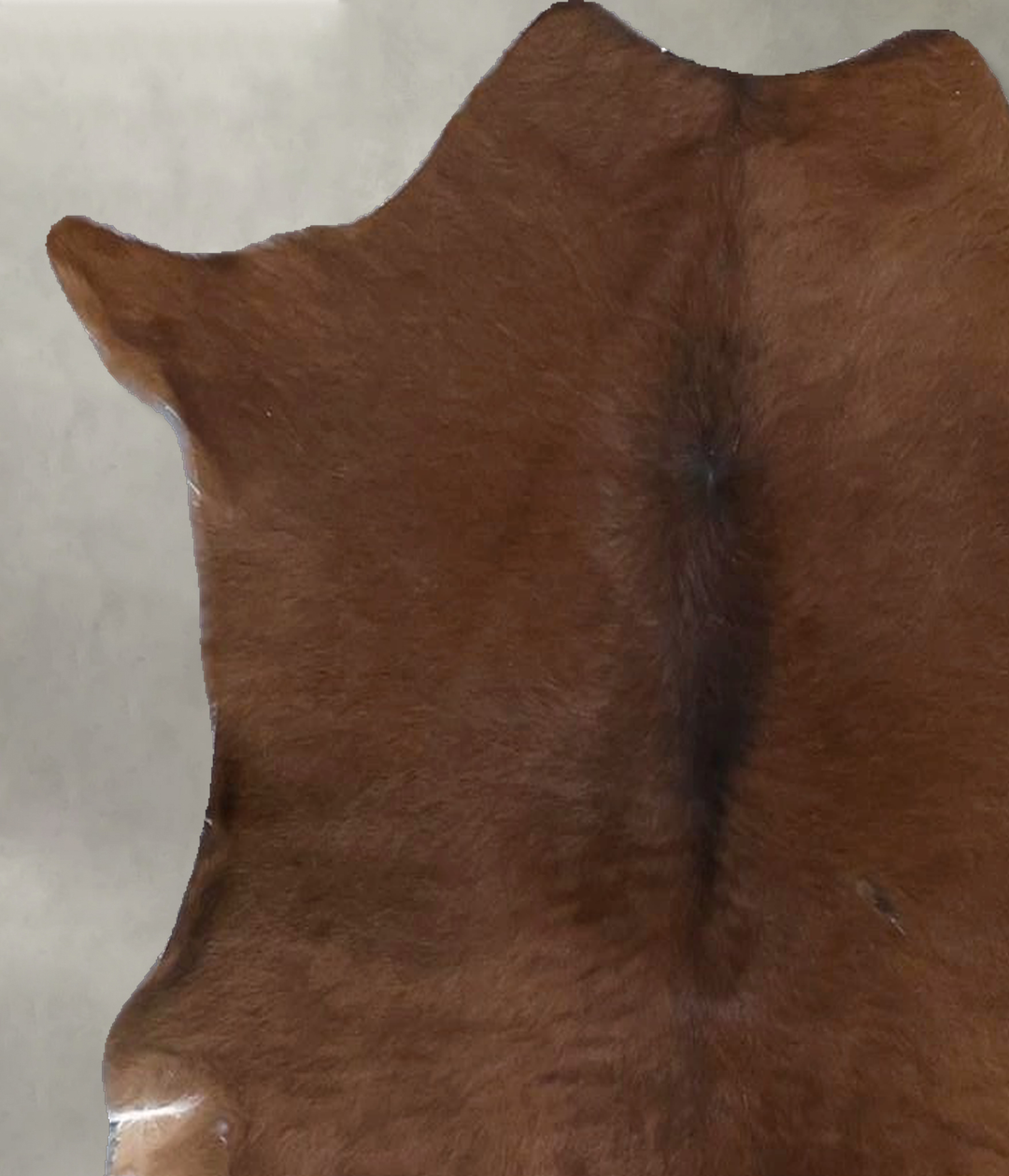 Calfhide Approx 2'x3' #B22306 by Hudson Hides