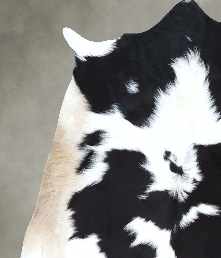 Calfhide Approx 2'x3' #B22307 by Hudson Hides