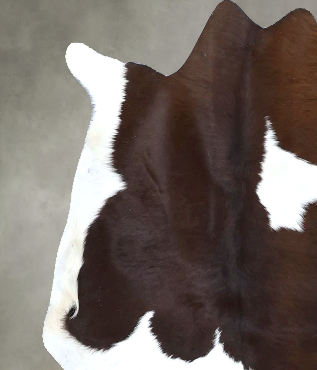 Calfhide Approx 2'x3' #B22308 by Hudson Hides