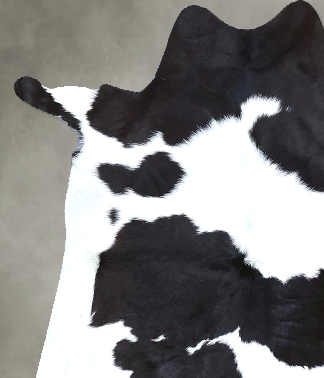 Calfhide Approx 2'x3' #B22309 by Hudson Hides