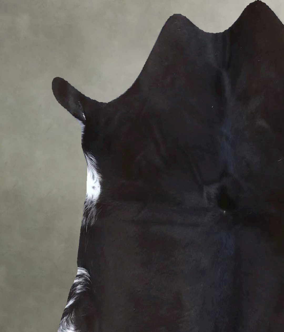 Calfhide Approx 2'x3' #B22310 by Hudson Hides