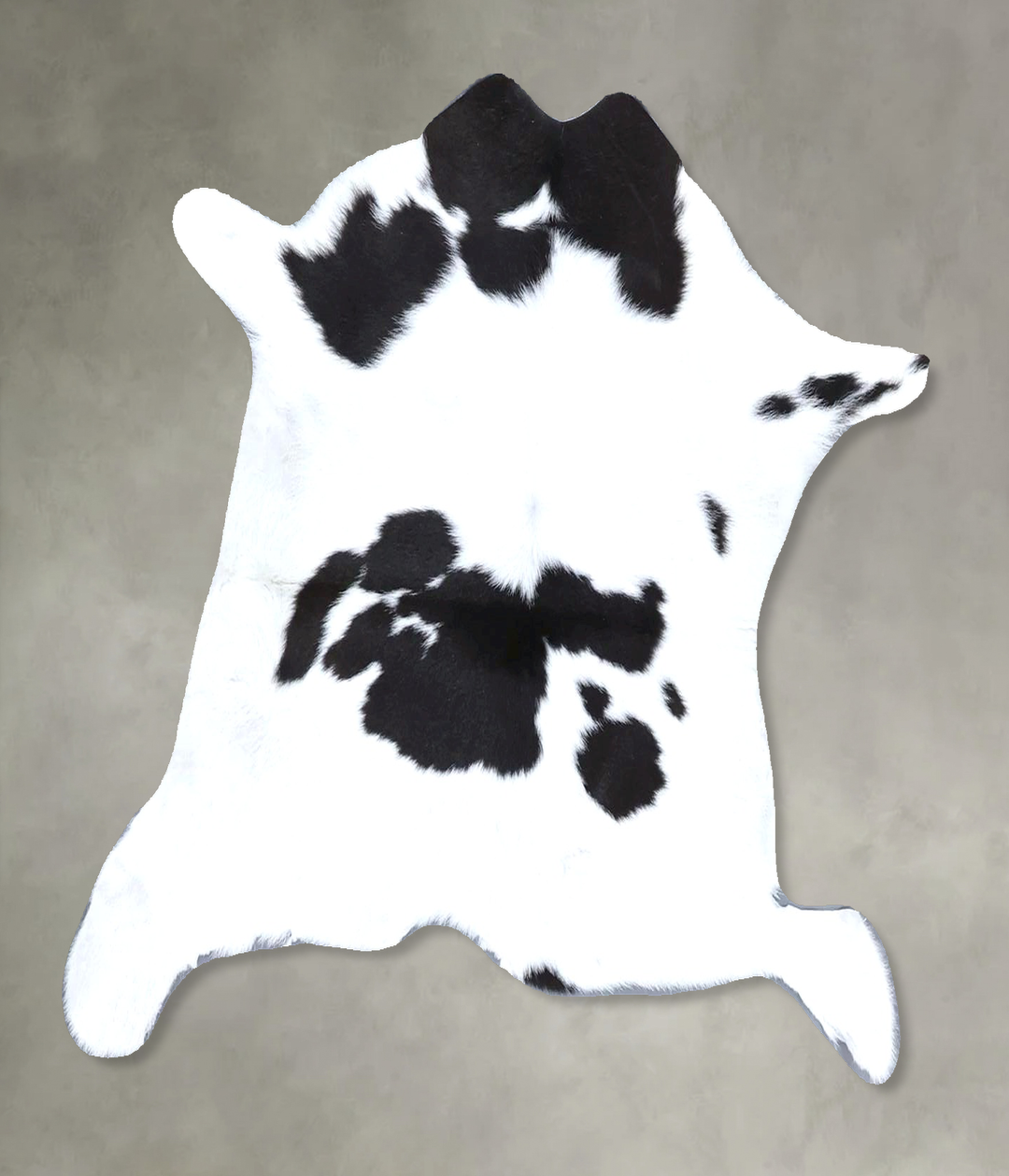 Calfhide Approx 2'x3' #B22312 by Hudson Hides