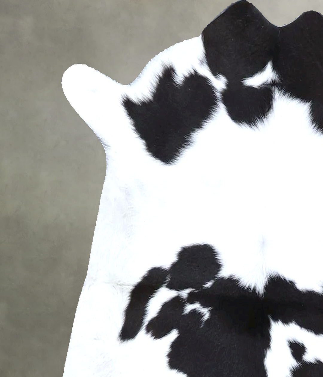 Calfhide Approx 2'x3' #B22312 by Hudson Hides