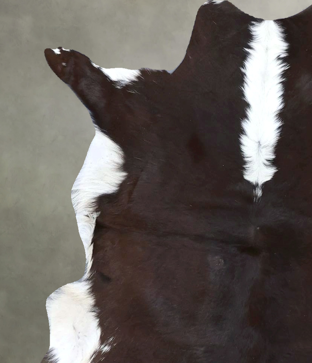 Calfhide Approx 2'x3' #B22315 by Hudson Hides