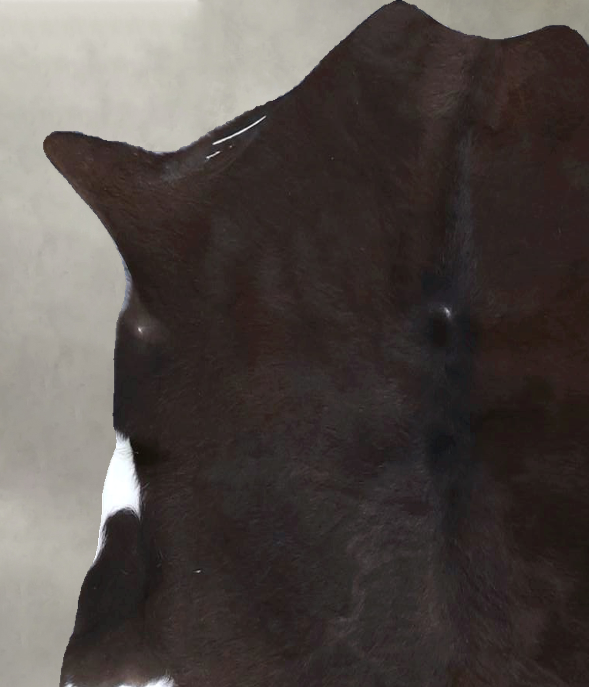 Calfhide Rug #B22316