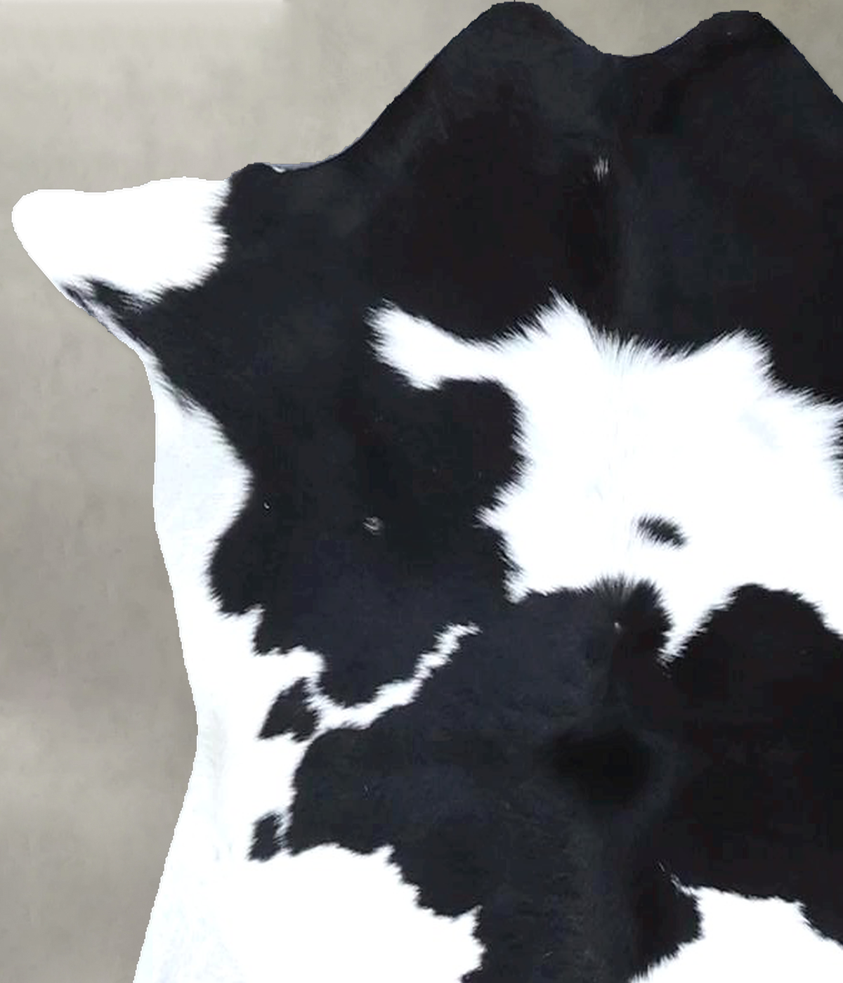 Calfhide Rug #B22318