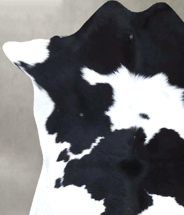 Calfhide Approx 2'x3' #B22318 by Hudson Hides