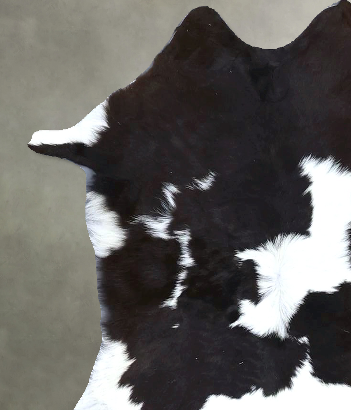 Calfhide Rug #B22322