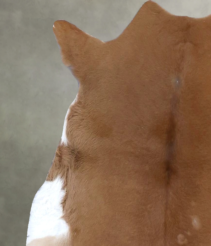 Calfhide Approx 2'x3' #B22323 by Hudson Hides