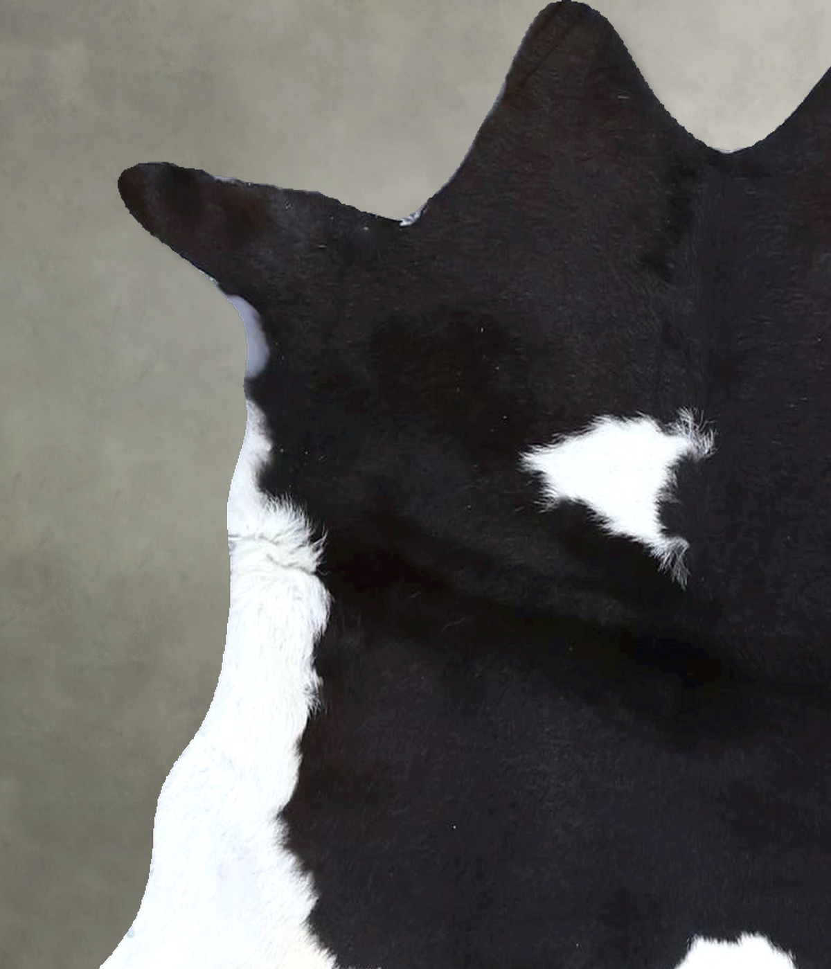 Calfhide Rug #B22326