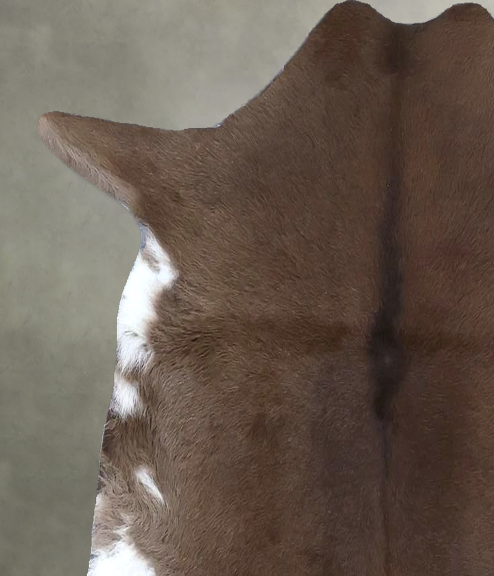 Calfhide Approx 2'x3' #B22327 by Hudson Hides