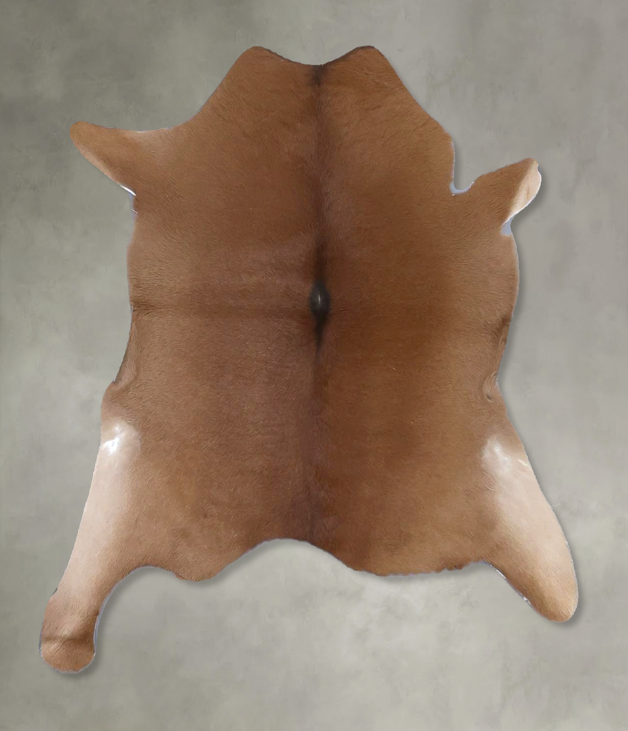 Calfhide Approx 2'x3' #B22330 by Hudson Hides