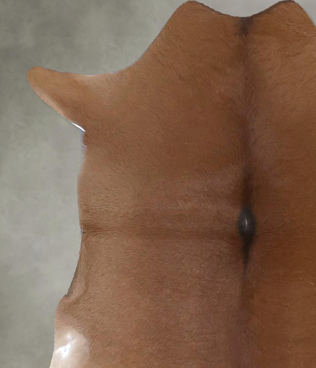 Calfhide Approx 2'x3' #B22330 by Hudson Hides