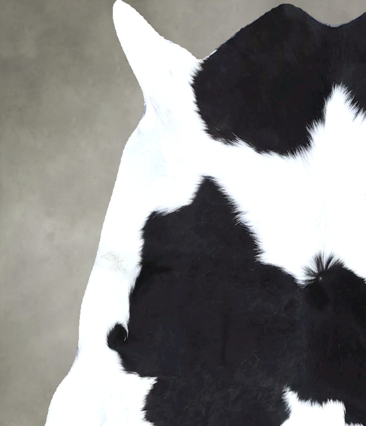 Calfhide Rug #B22331