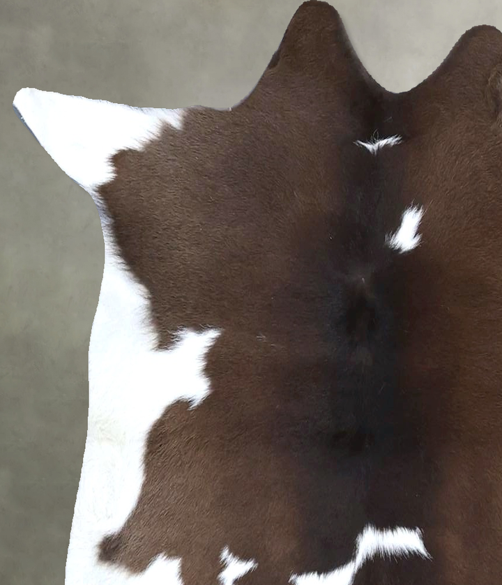 Calfhide Approx 2'x3' #B22336 by Hudson Hides