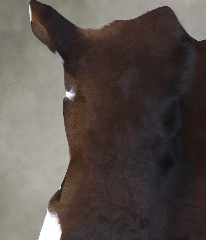 Calfhide Approx 2'x3' #B22339 by Hudson Hides