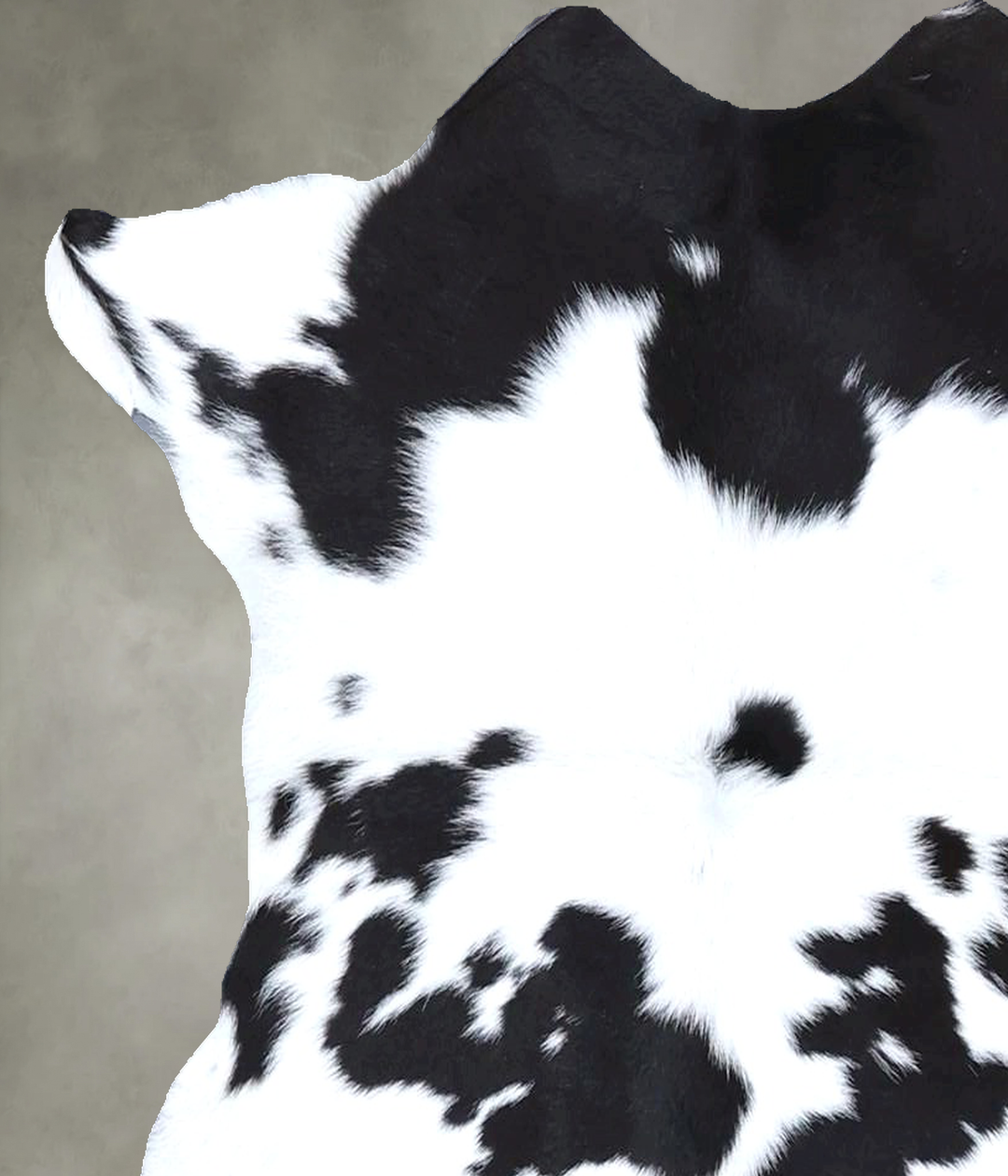 Calfhide Approx 2'x3' #B22345 by Hudson Hides