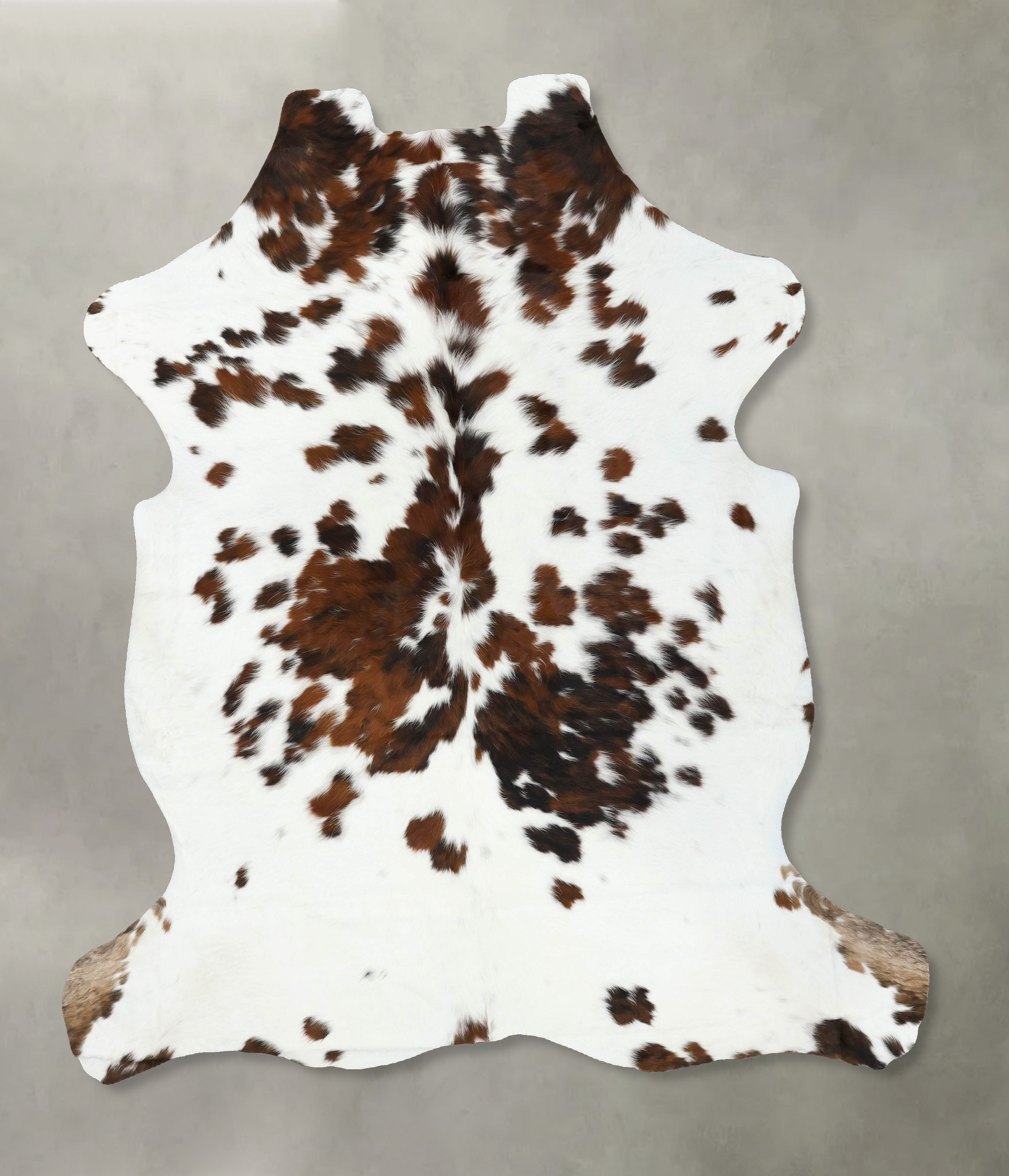 Tricolor Cowhide Rug #B22349