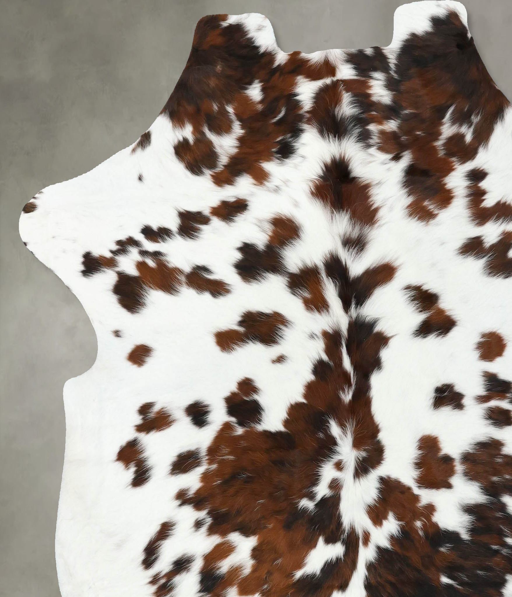 Tricolor Cowhide Rug #B22349
