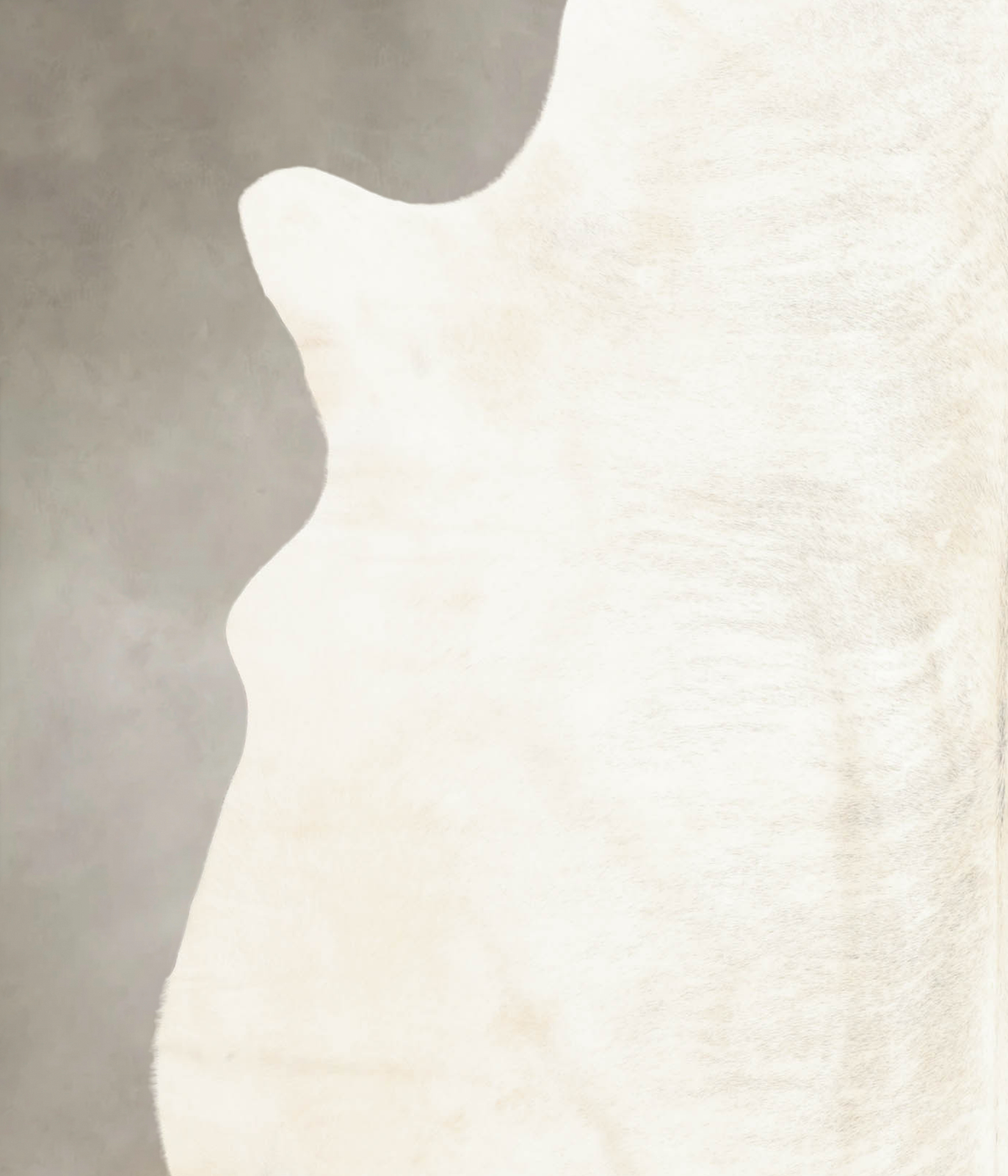 Grey Brindle XX-Large Brazilian Cowhide Rug 7'5"H x 7'2"W #B2235 by Hudson Hides