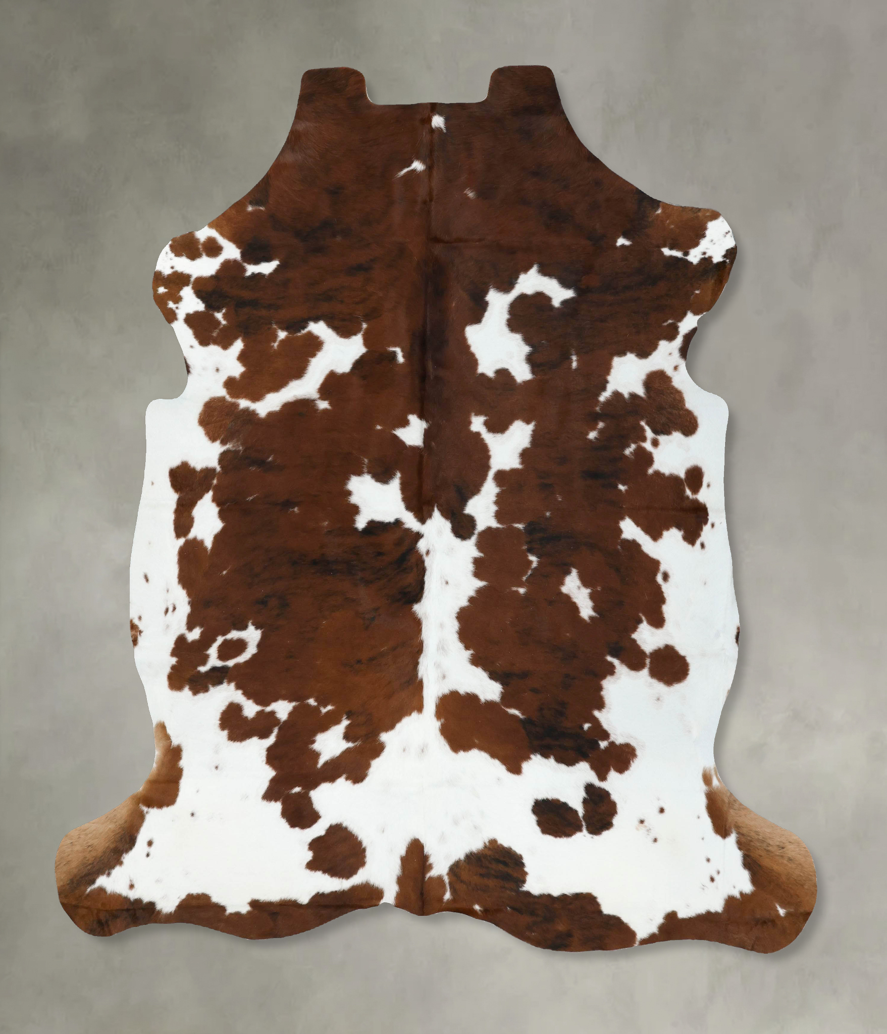 Tricolor Cowhide Rug #B22350