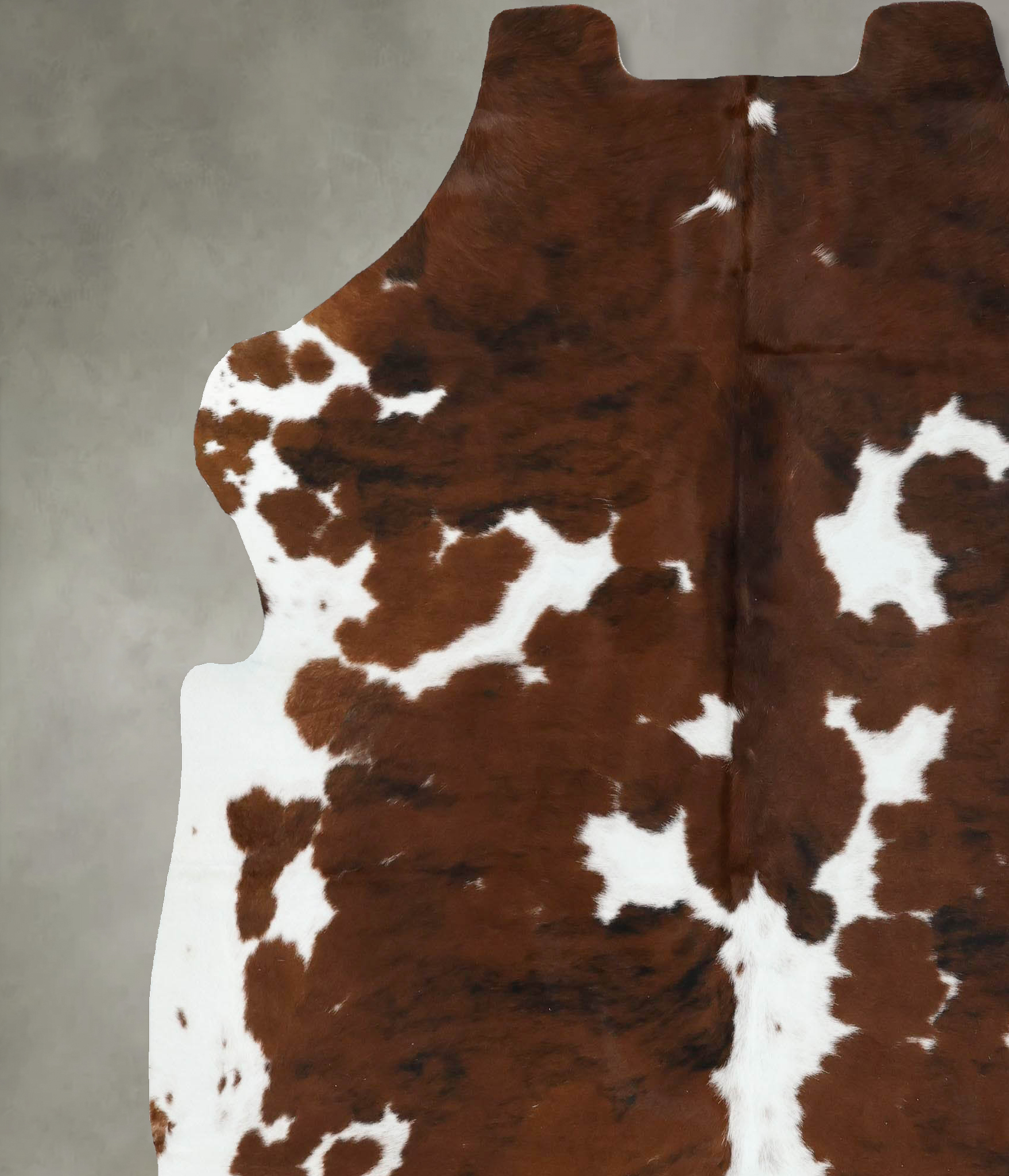 Tricolor Cowhide Rug #B22350