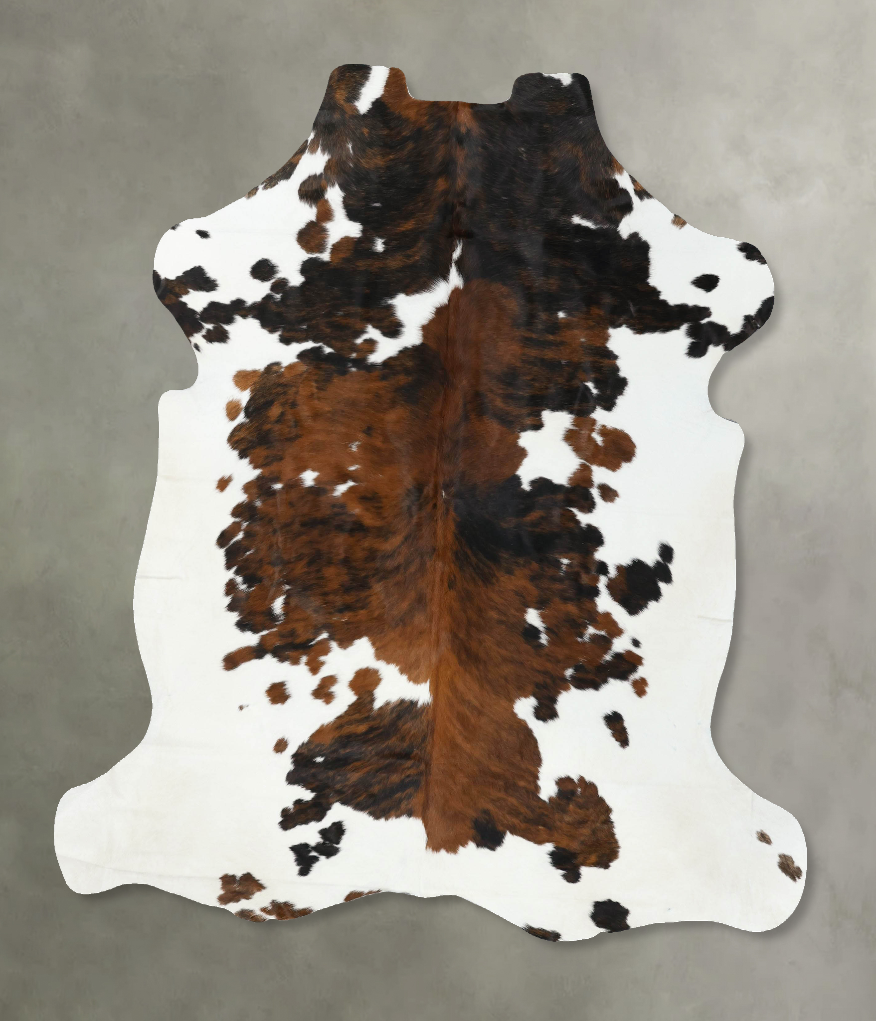 Tricolor Cowhide Rug #B22359