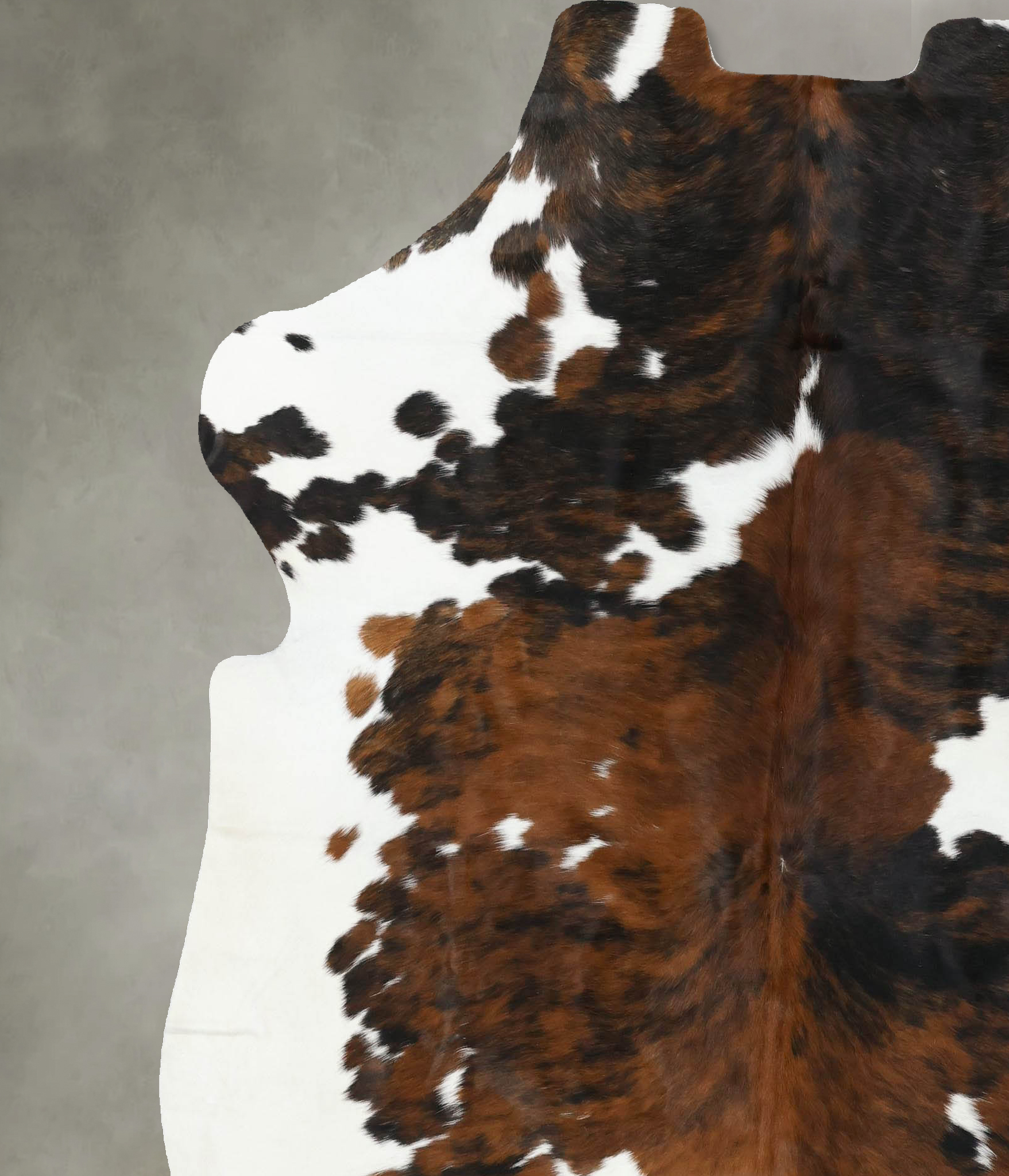 Tricolor Cowhide Rug #B22359