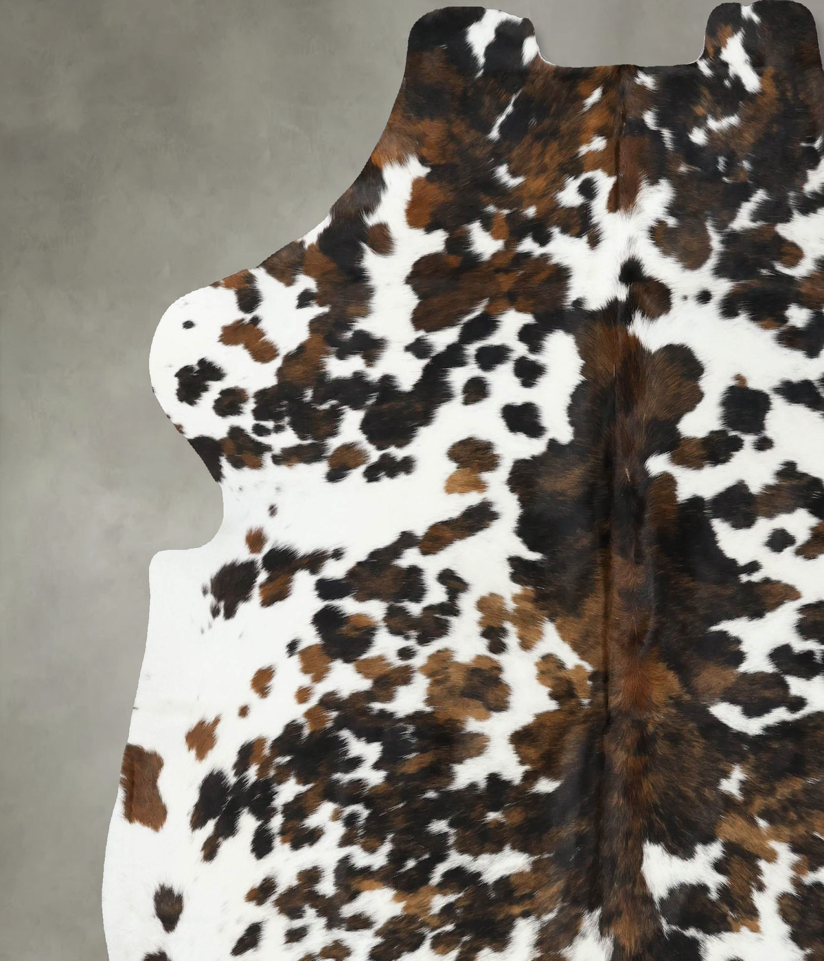 Tricolor X-Large European Cowhide Rug 7'3"H x 6'8"W #B22365 by Hudson Hides