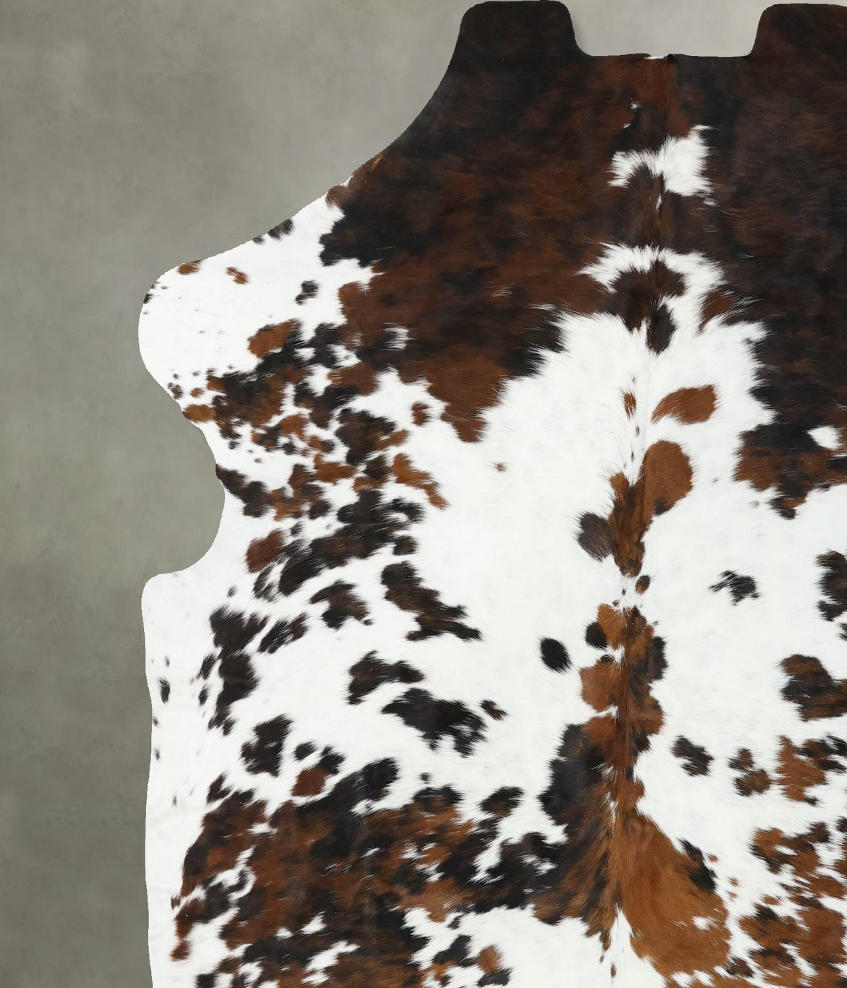 Tricolor X-Large European Cowhide Rug 7'5"H x 6'5"W #B22369 by Hudson Hides