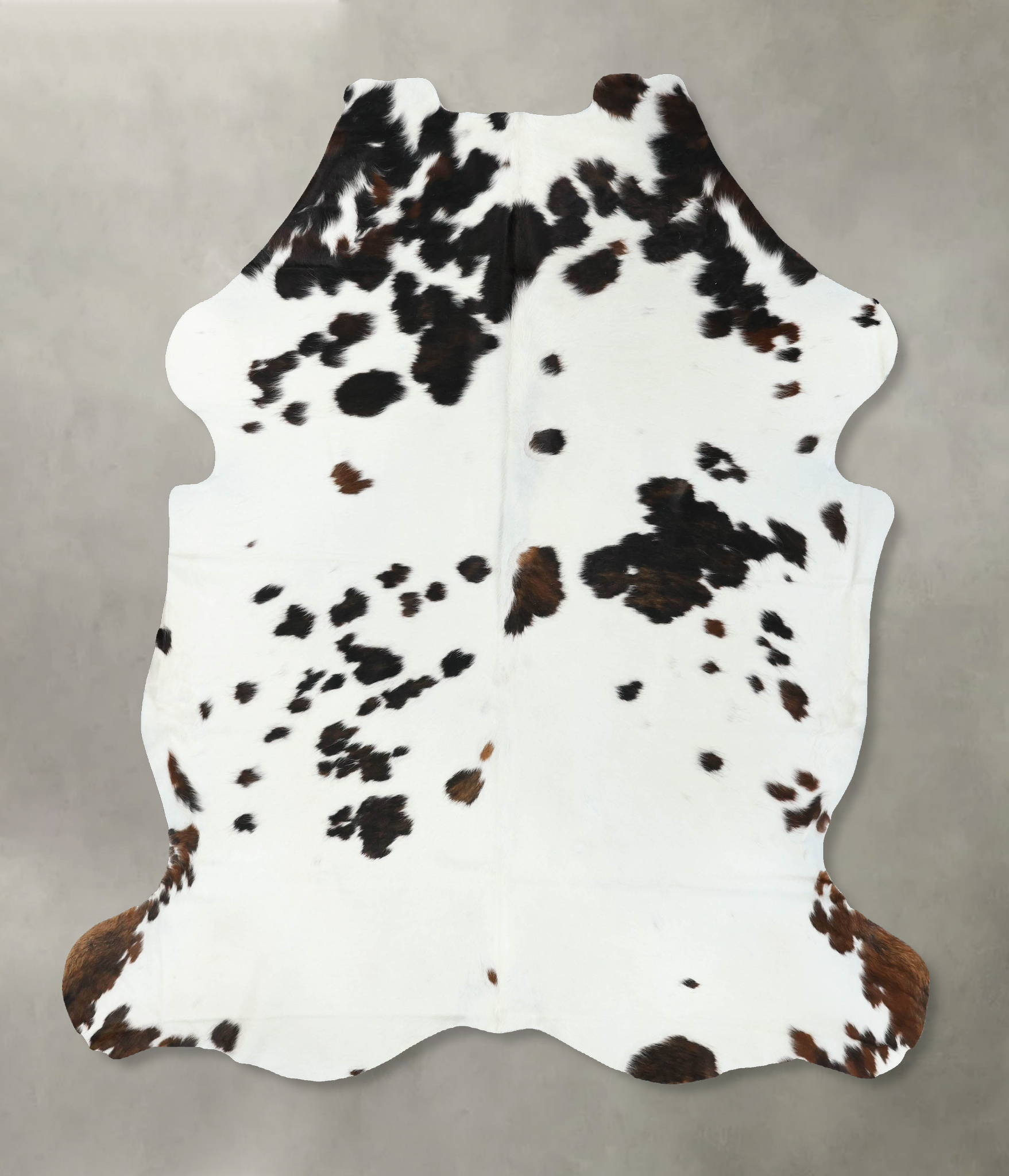 Tricolor Cowhide Rug #B22371