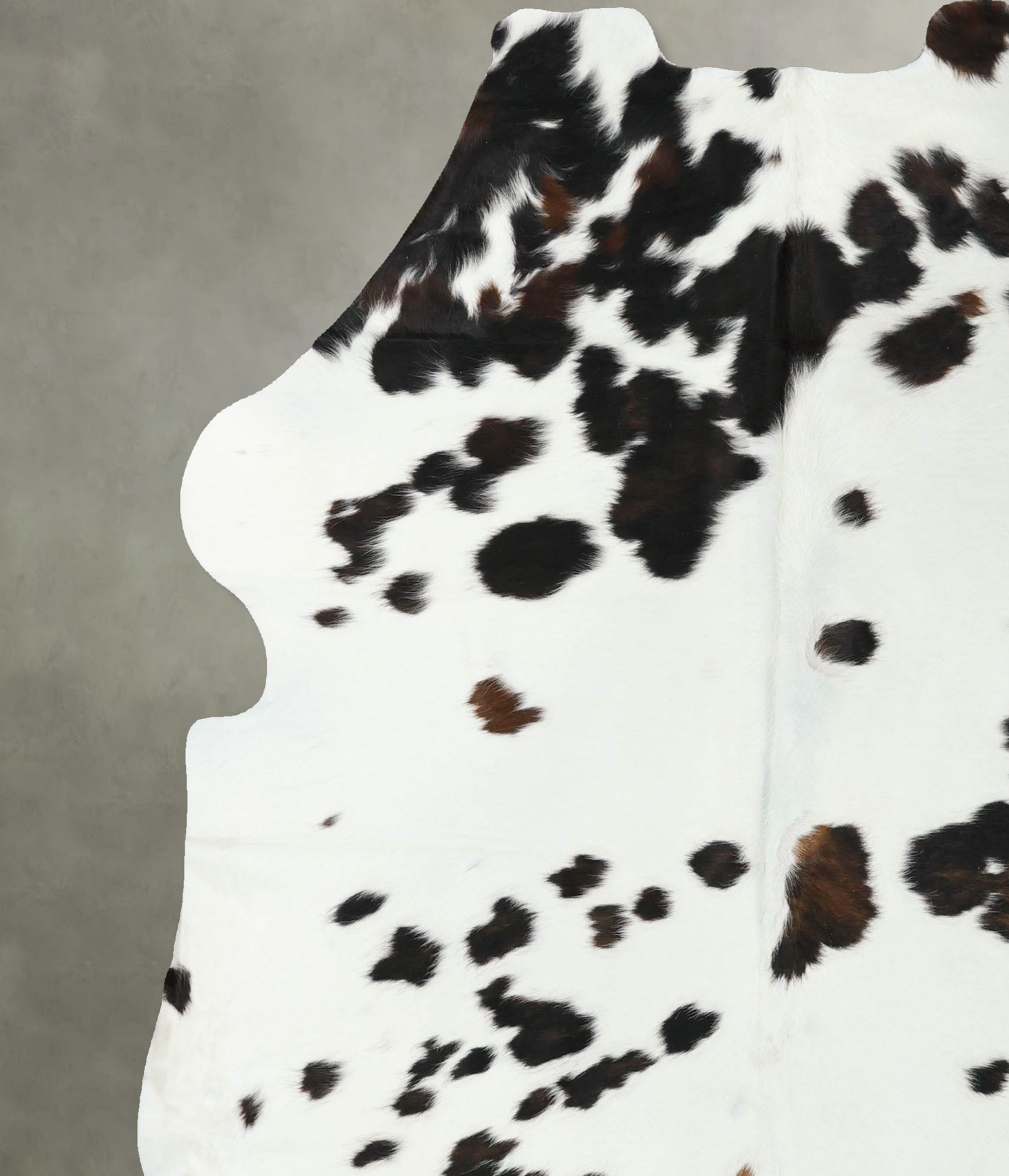 Tricolor Cowhide Rug #B22371