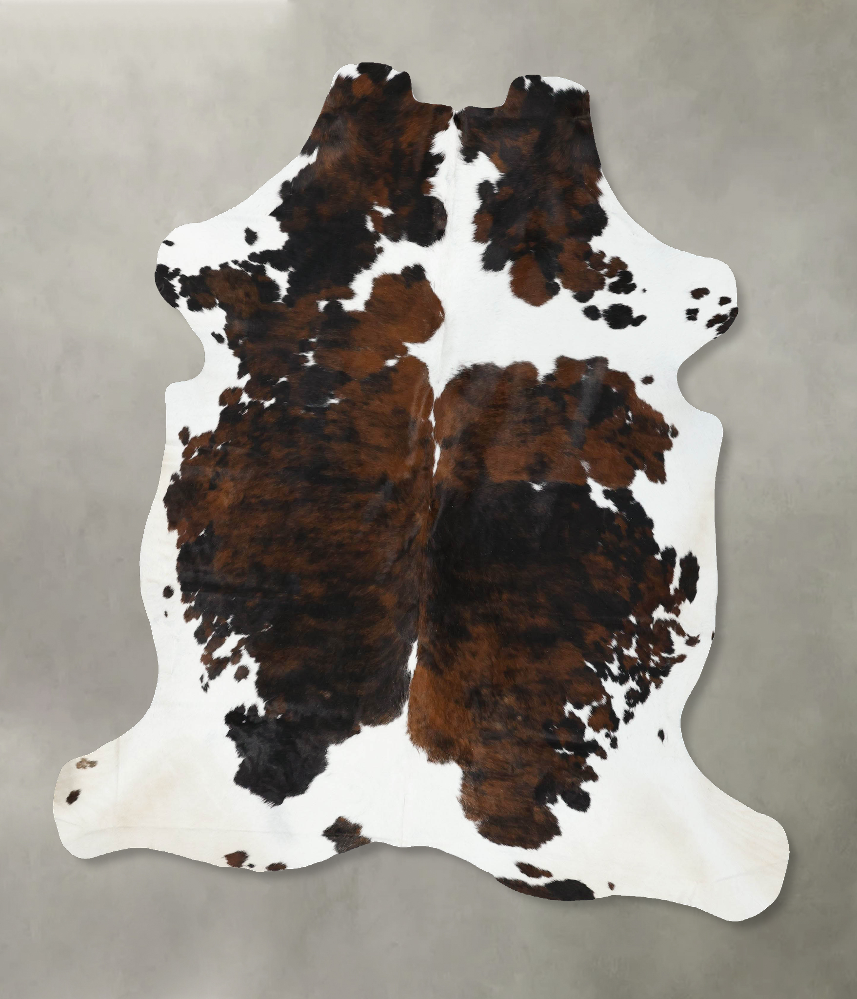 Tricolor Cowhide Rug #B22372