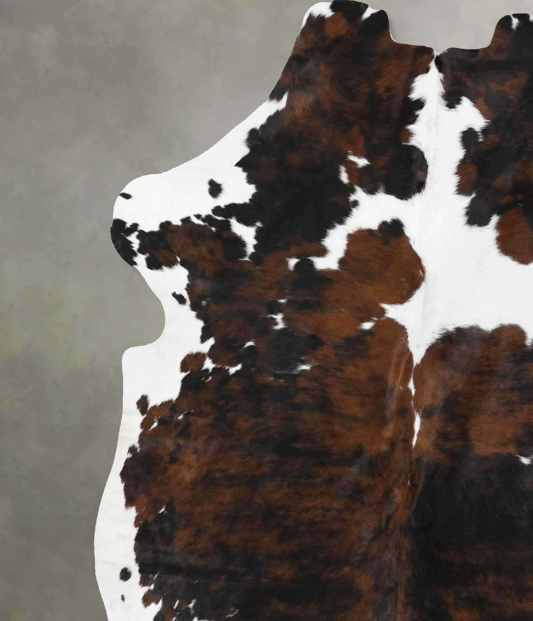 Tricolor Cowhide Rug #B22372
