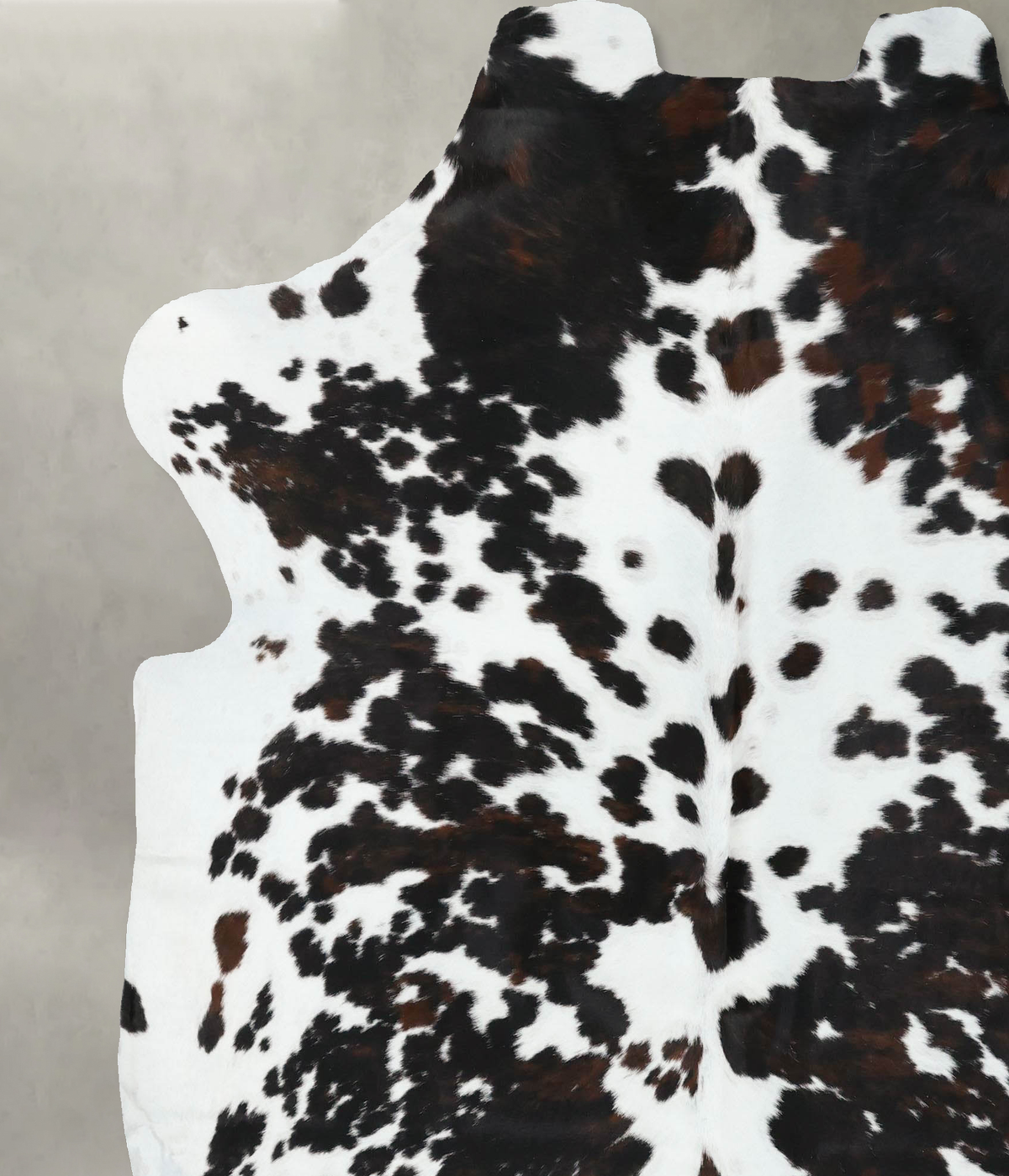 Tricolor X-Large European Cowhide Rug 7'4"H x 6'8"W #B22375 by Hudson Hides