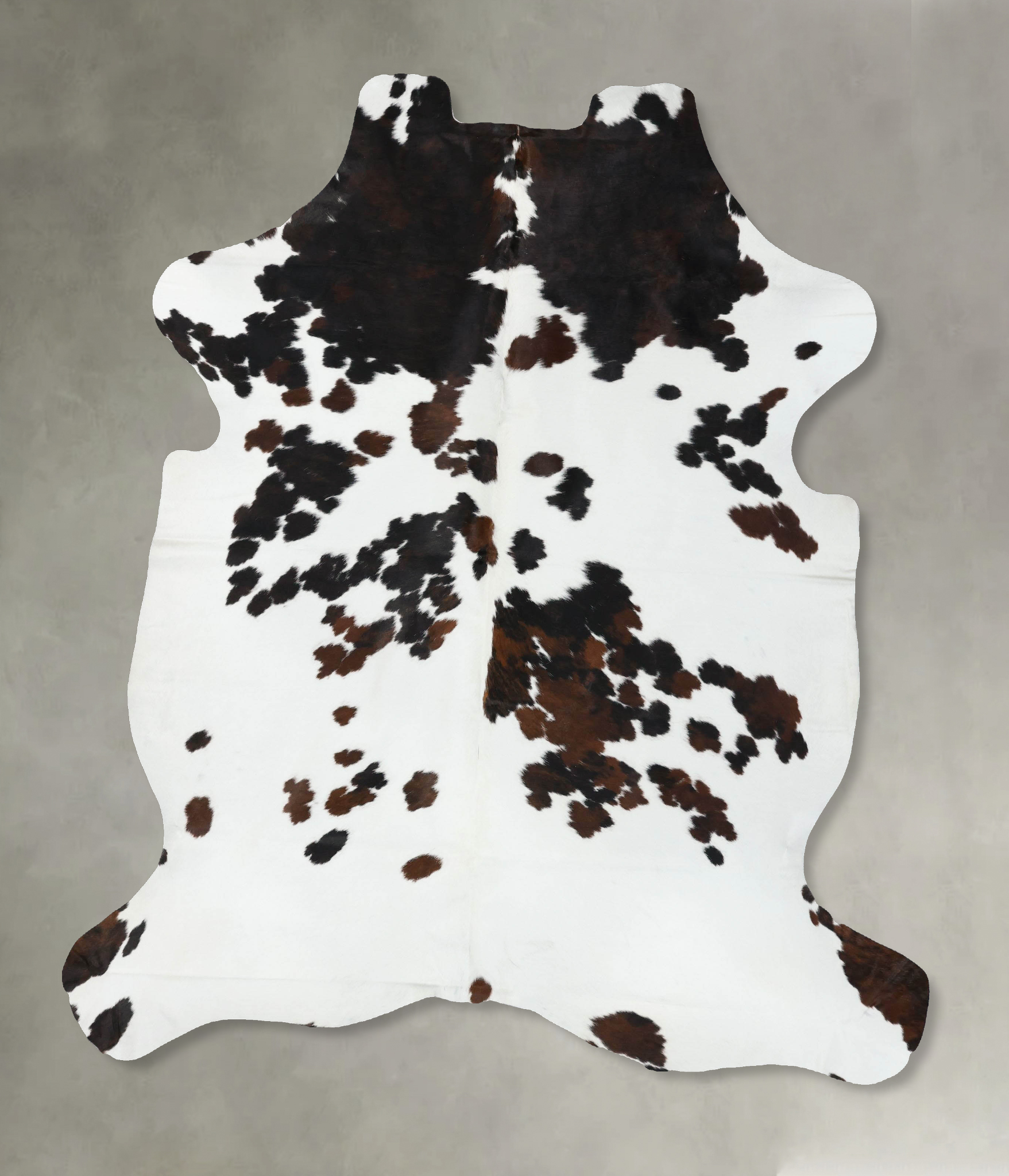 Tricolor Cowhide Rug #B22377