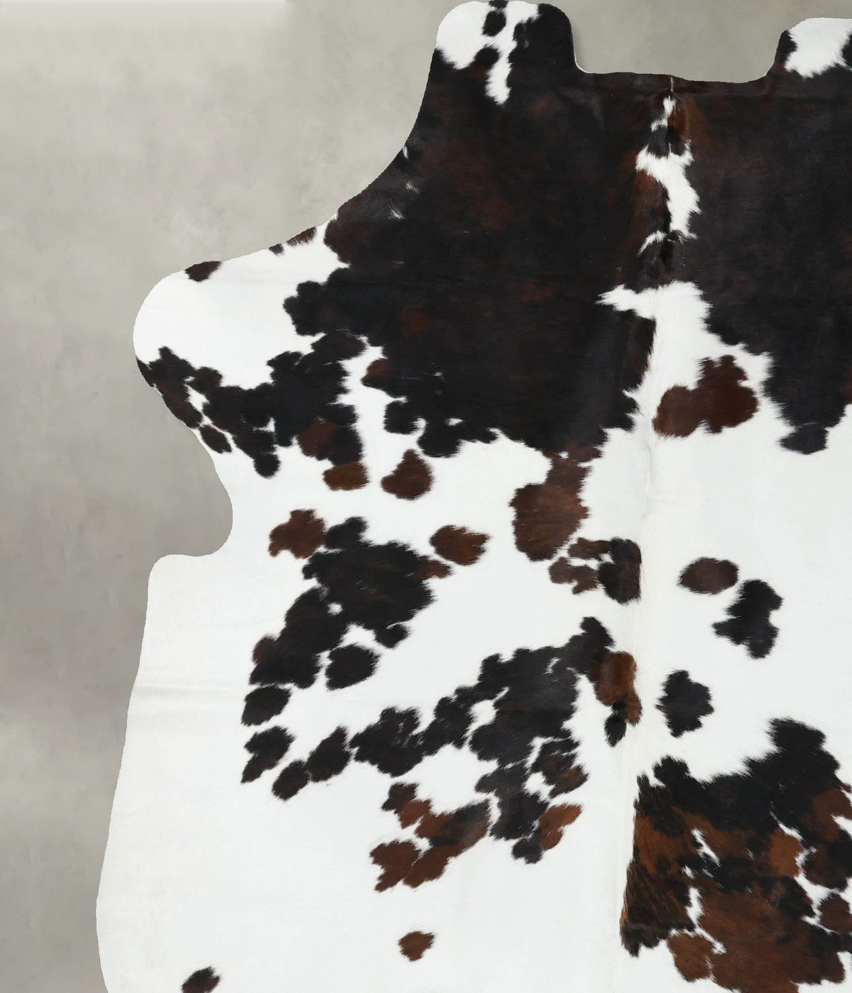 Tricolor X-Large European Cowhide Rug 7'9"H x 6'2"W #B22377 by Hudson Hides