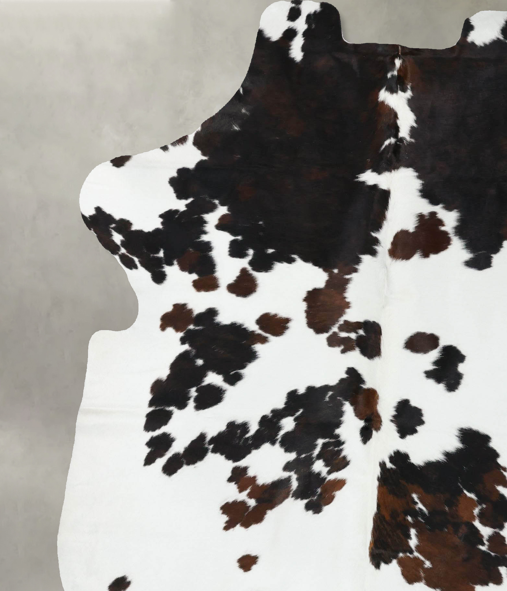 Tricolor Cowhide Rug #B22377