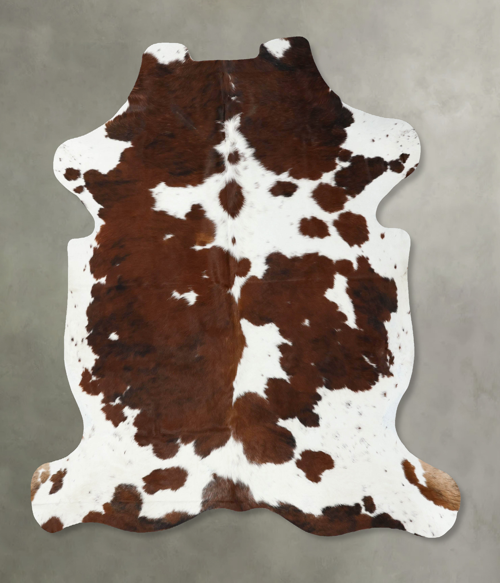 Tricolor Cowhide Rug #B22378