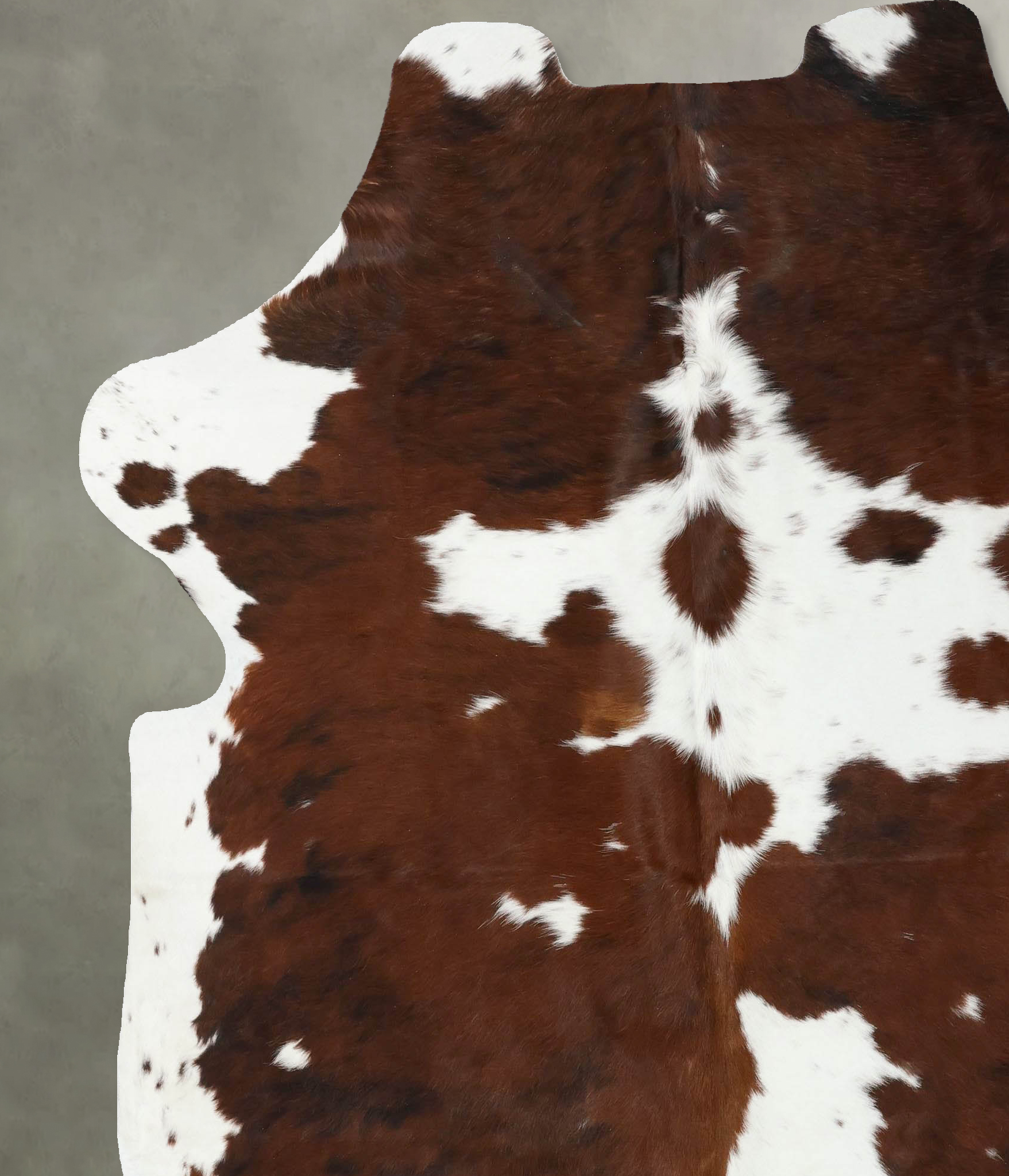 Tricolor Cowhide Rug #B22378